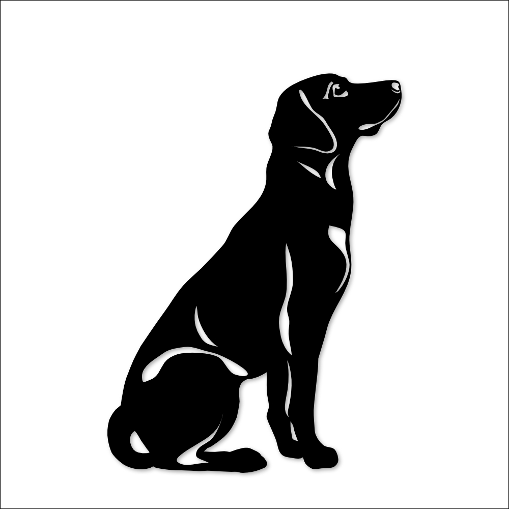 Labrador Classique - Image 3