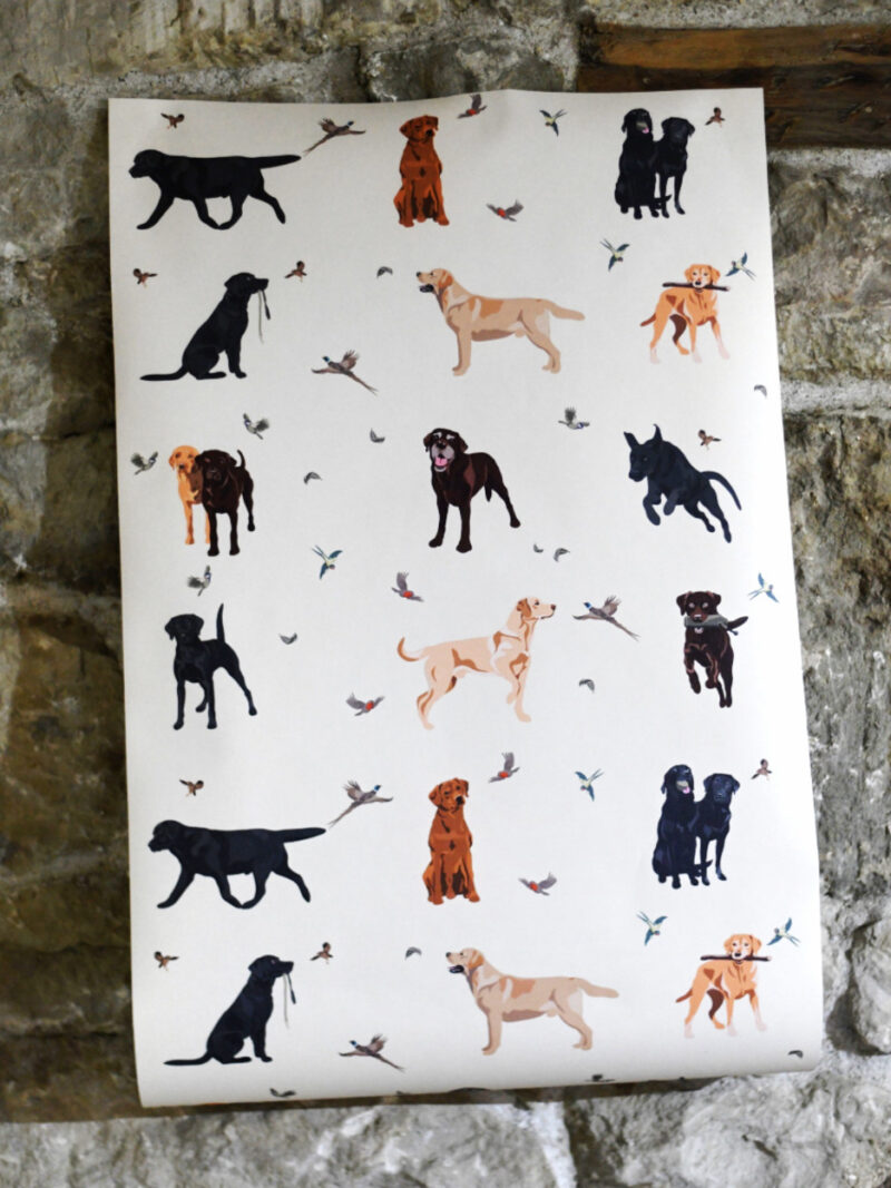 Labrador Wallpaper - A little bird told me