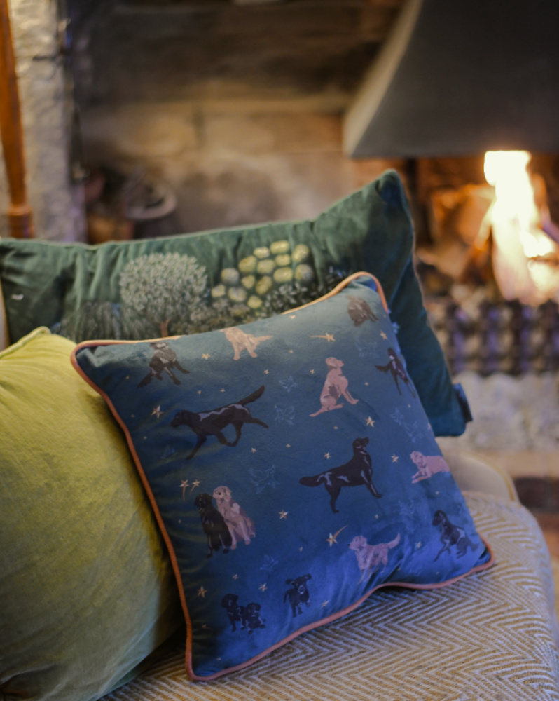 Flatcoat Cushions - If I could give you the stars