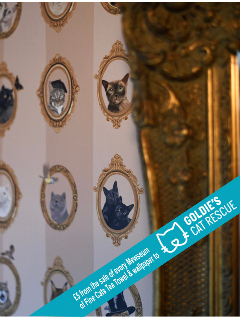 Mewseum of Fine Cats