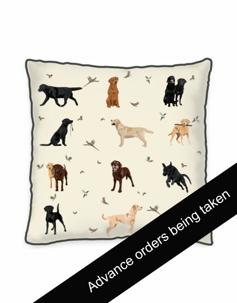 Labrador Cushions - A little bird told me