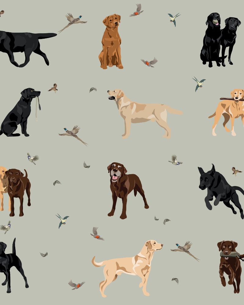 Labrador Wallpaper - A little bird told me