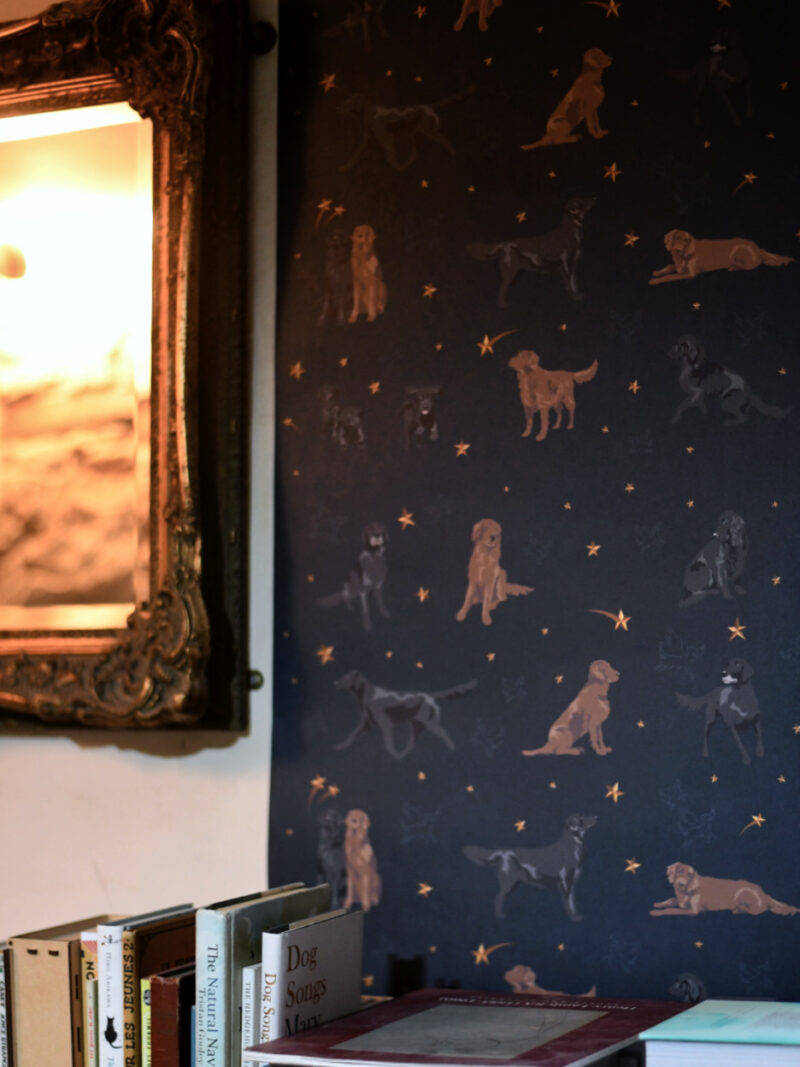 Flatcoat wallpaper - If I could give you the stars