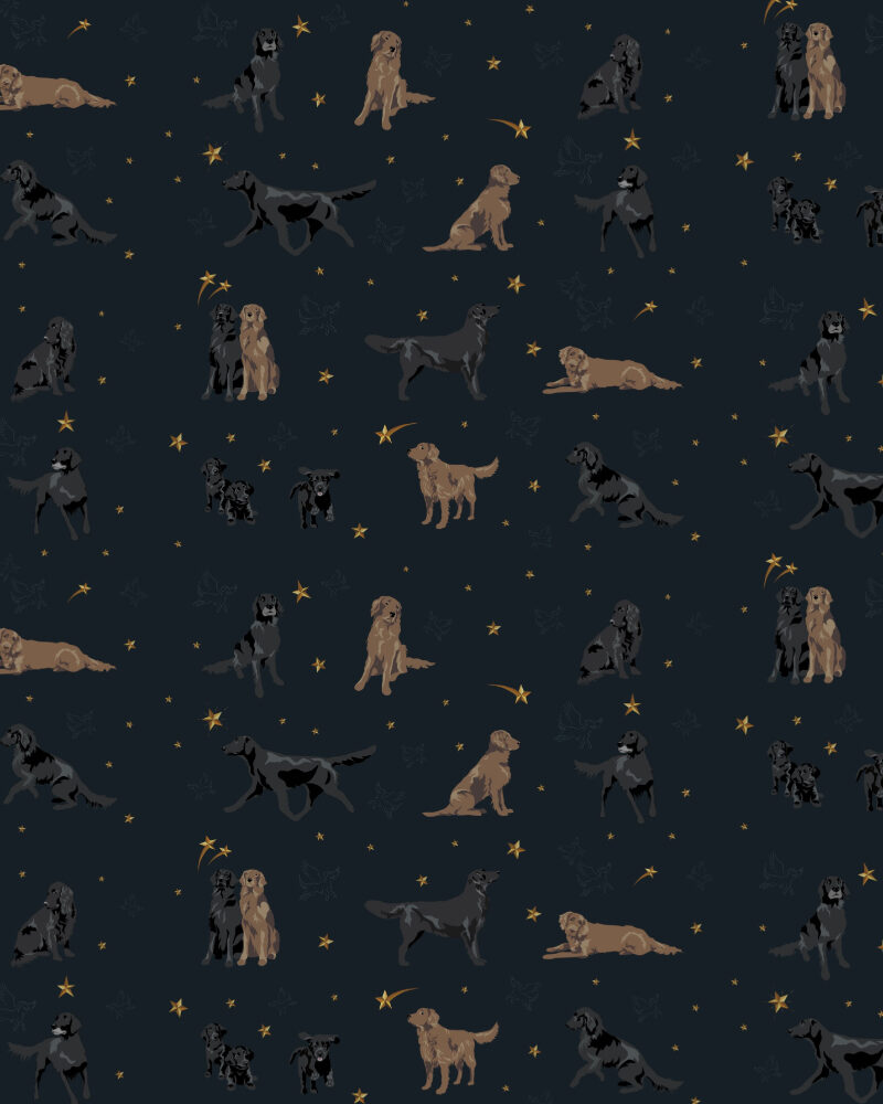 Flatcoat wallpaper - If I could give you the stars