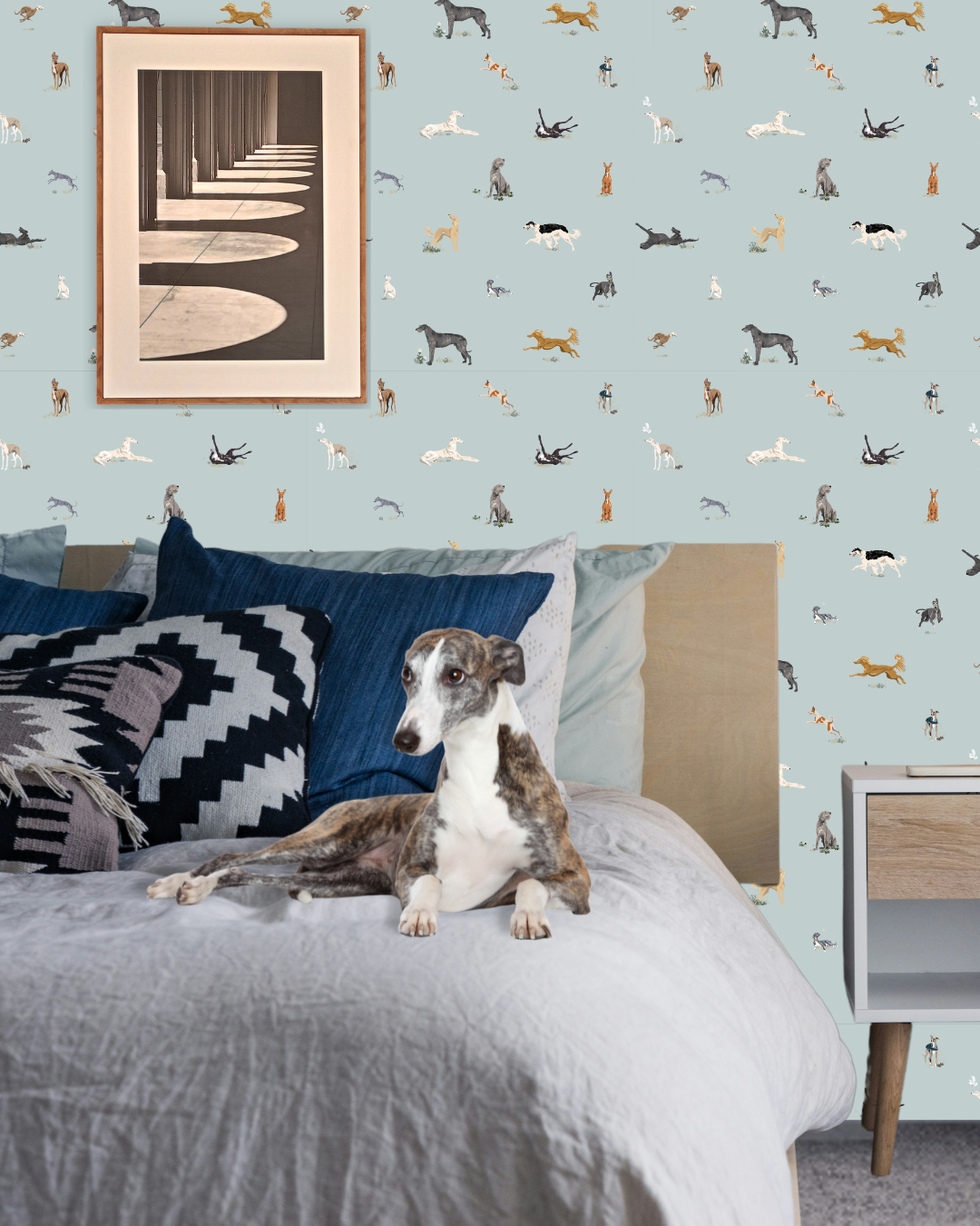 Just Sighthounds USA Clients - Image 8