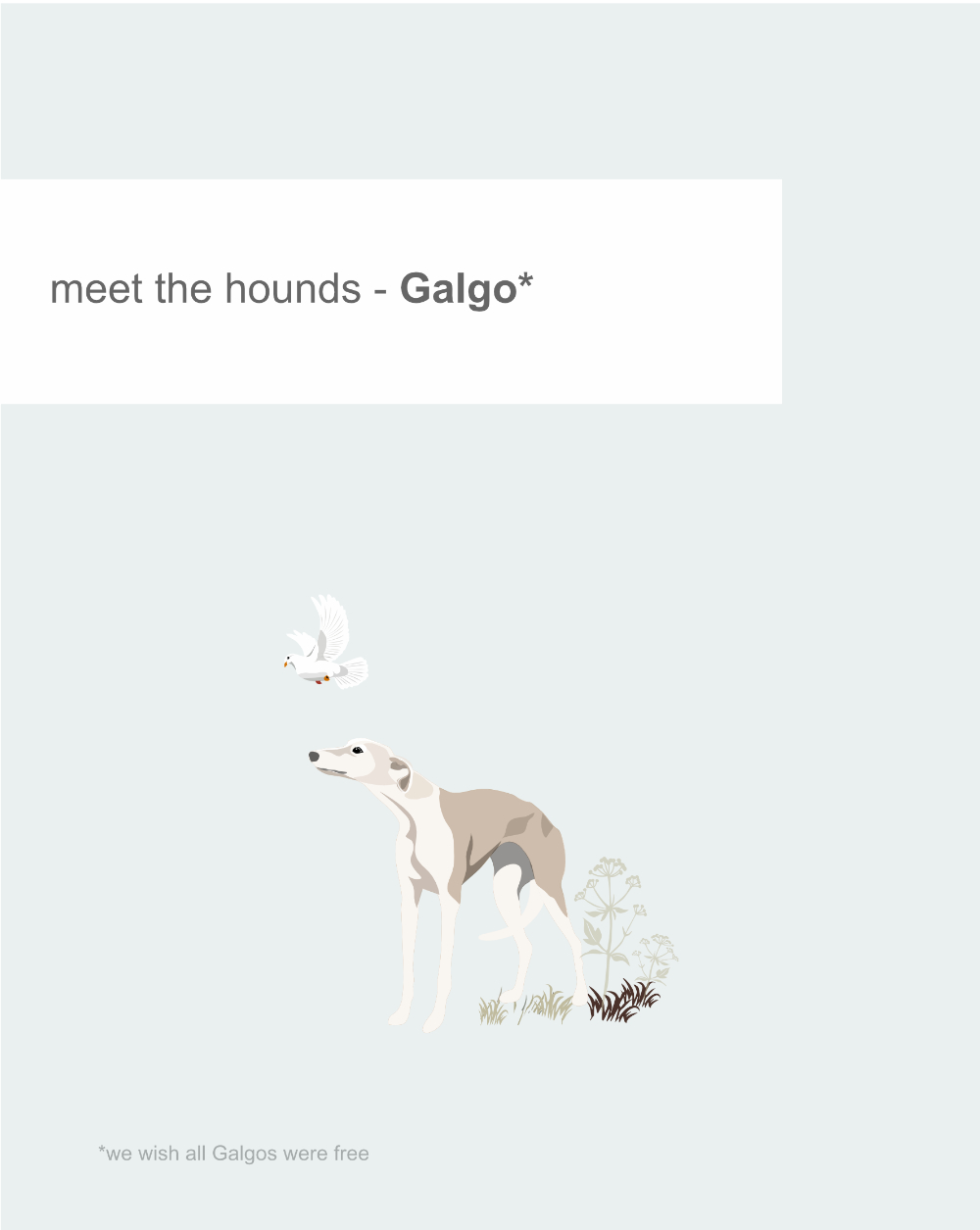 Just Sighthounds - Image 15