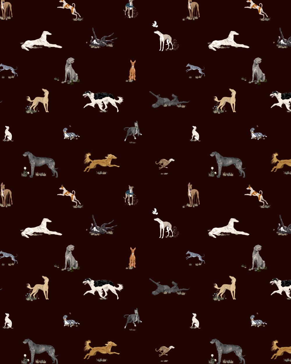 Just Sighthounds - Image 2