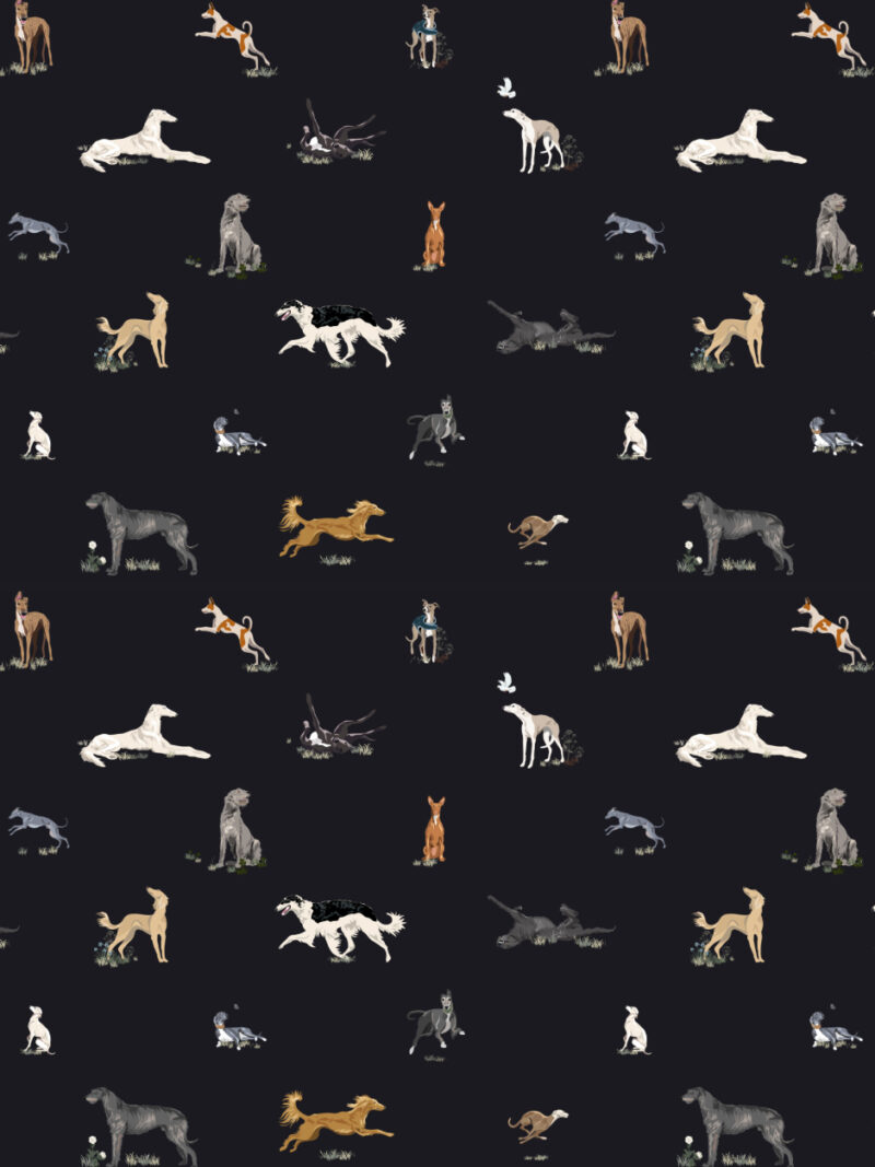 Just Sighthounds