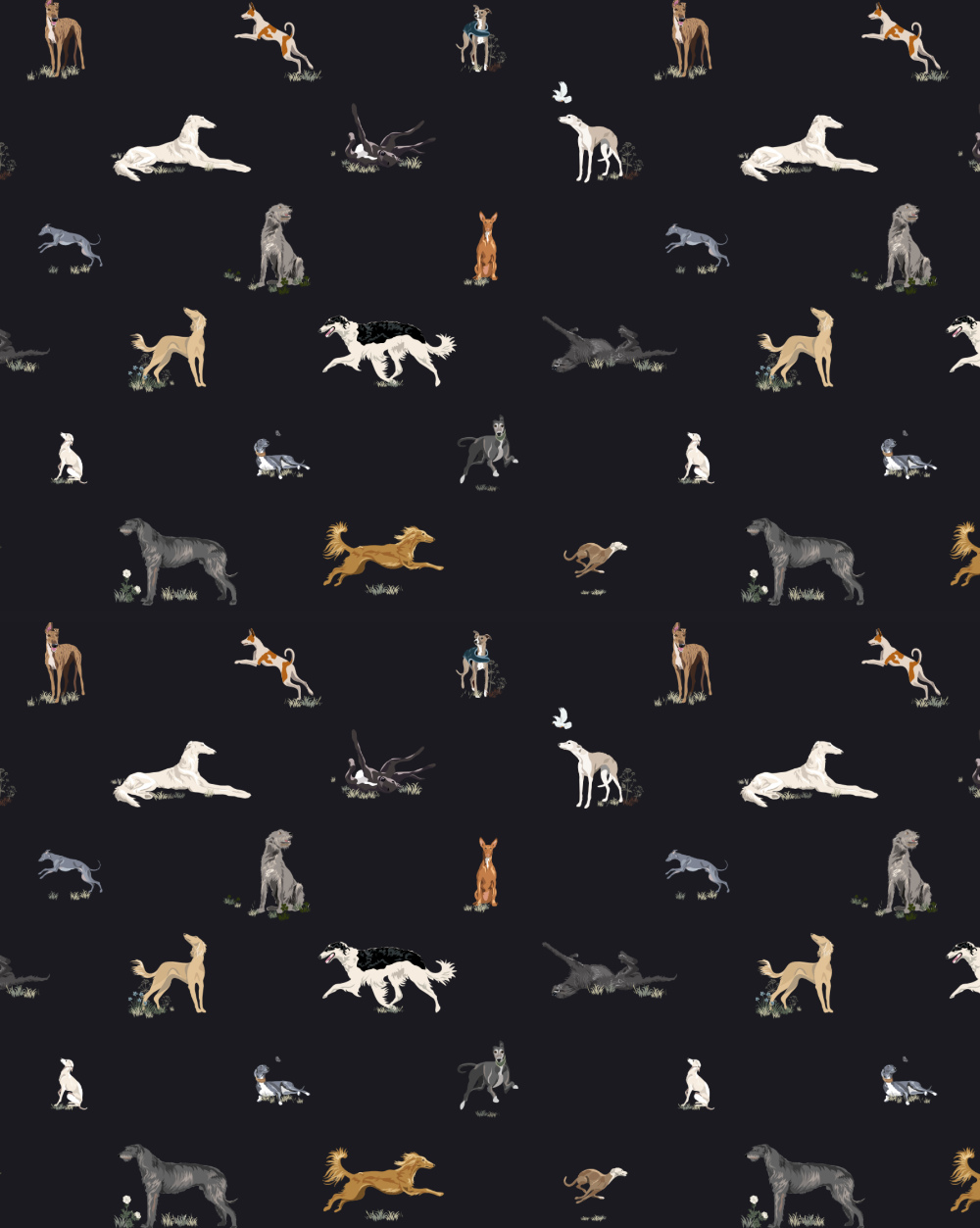 Just Sighthounds