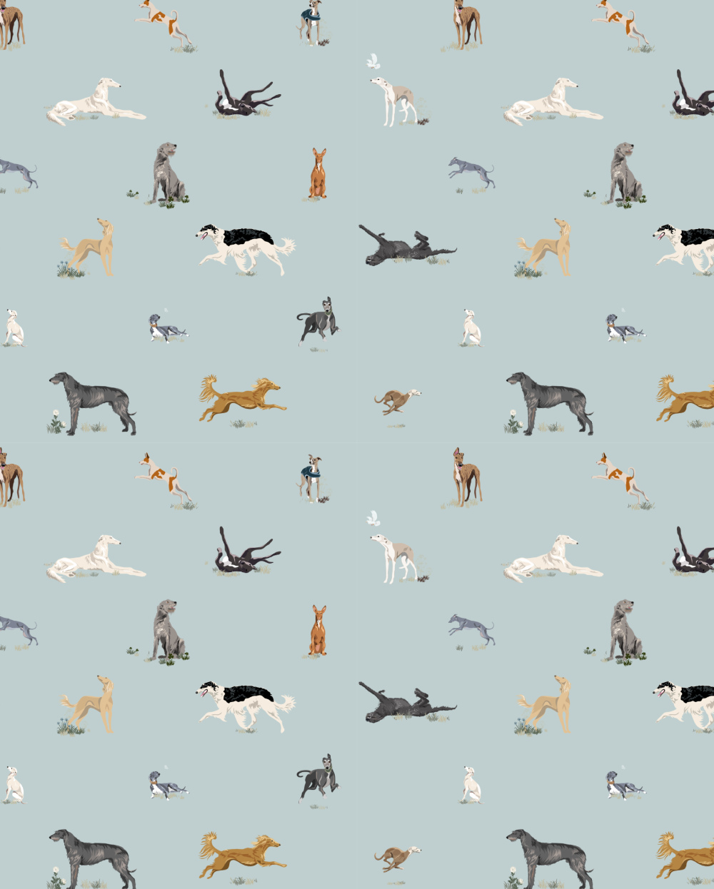 Just Sighthounds - Image 3