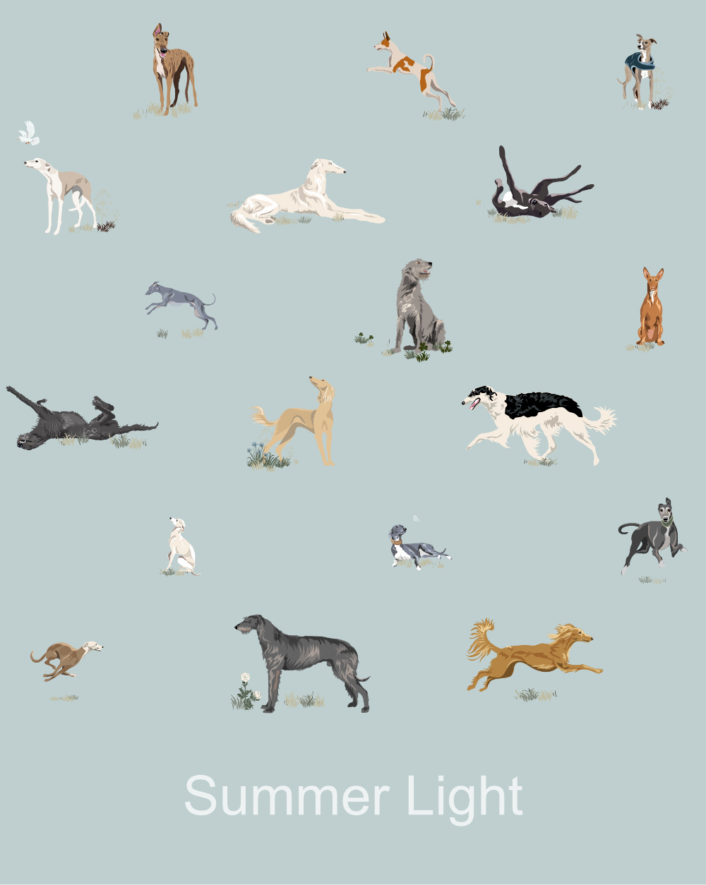 Just Sighthounds - Image 4