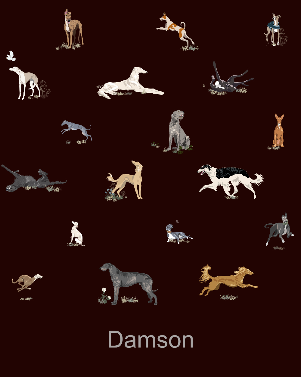 Just Sighthounds - Image 5