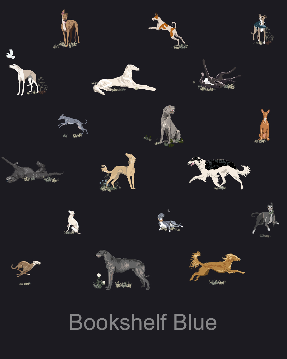 Just Sighthounds - Image 6