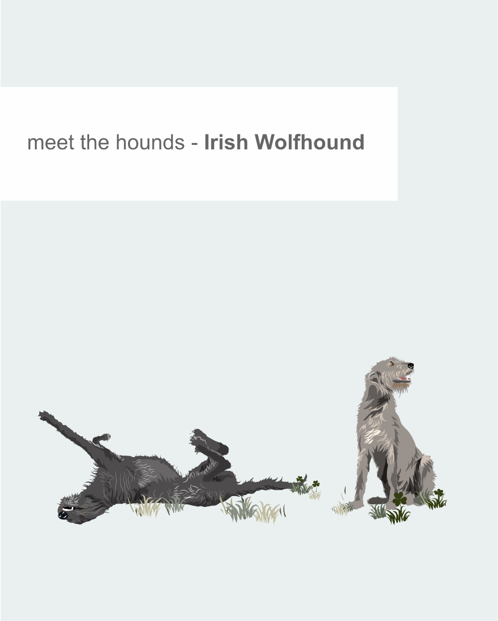 Just Sighthounds - Image 14