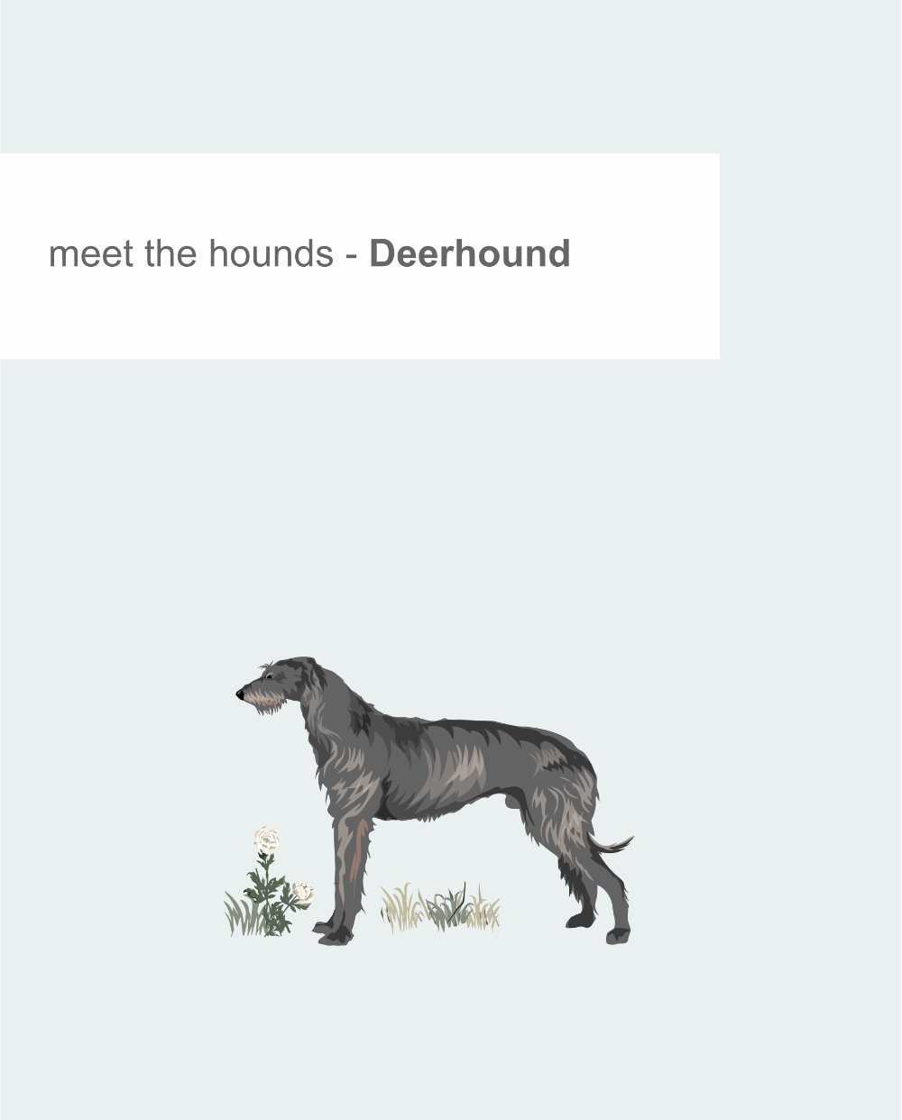 Just Sighthounds - Image 13
