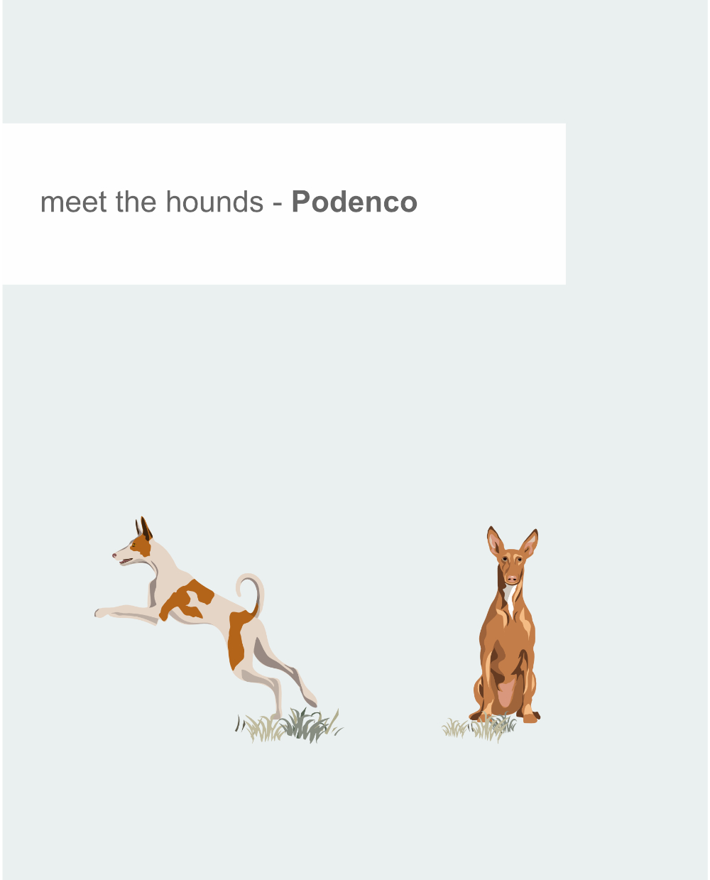 Just Sighthounds - Image 12