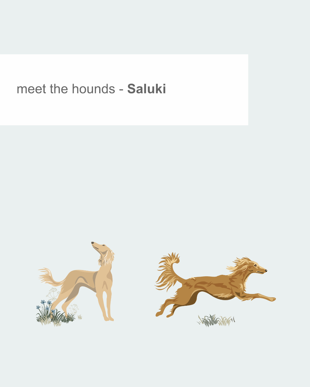 Just Sighthounds - Image 11