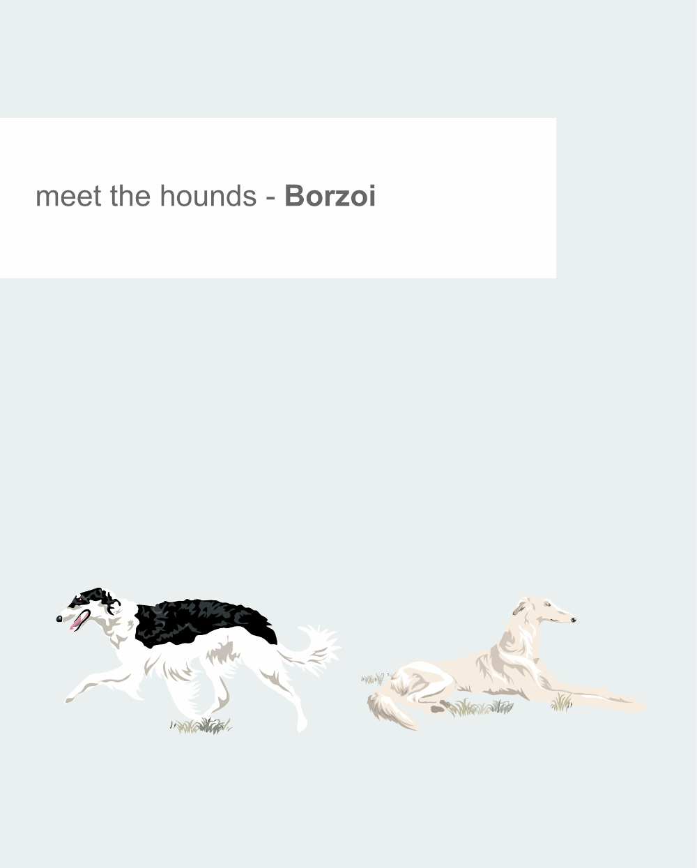 Just Sighthounds - Image 10