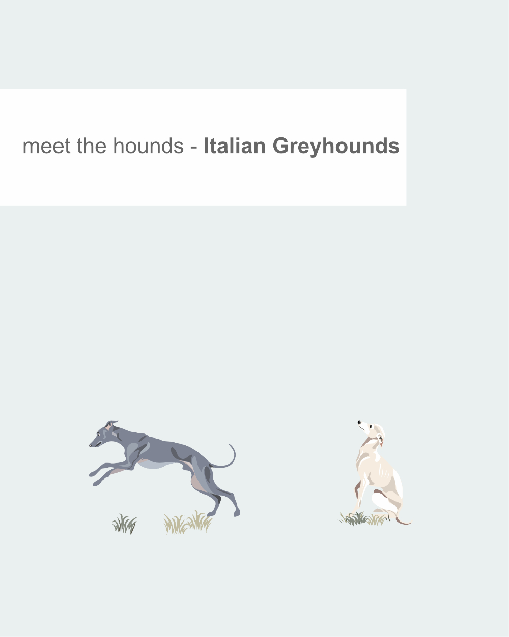 Just Sighthounds - Image 9