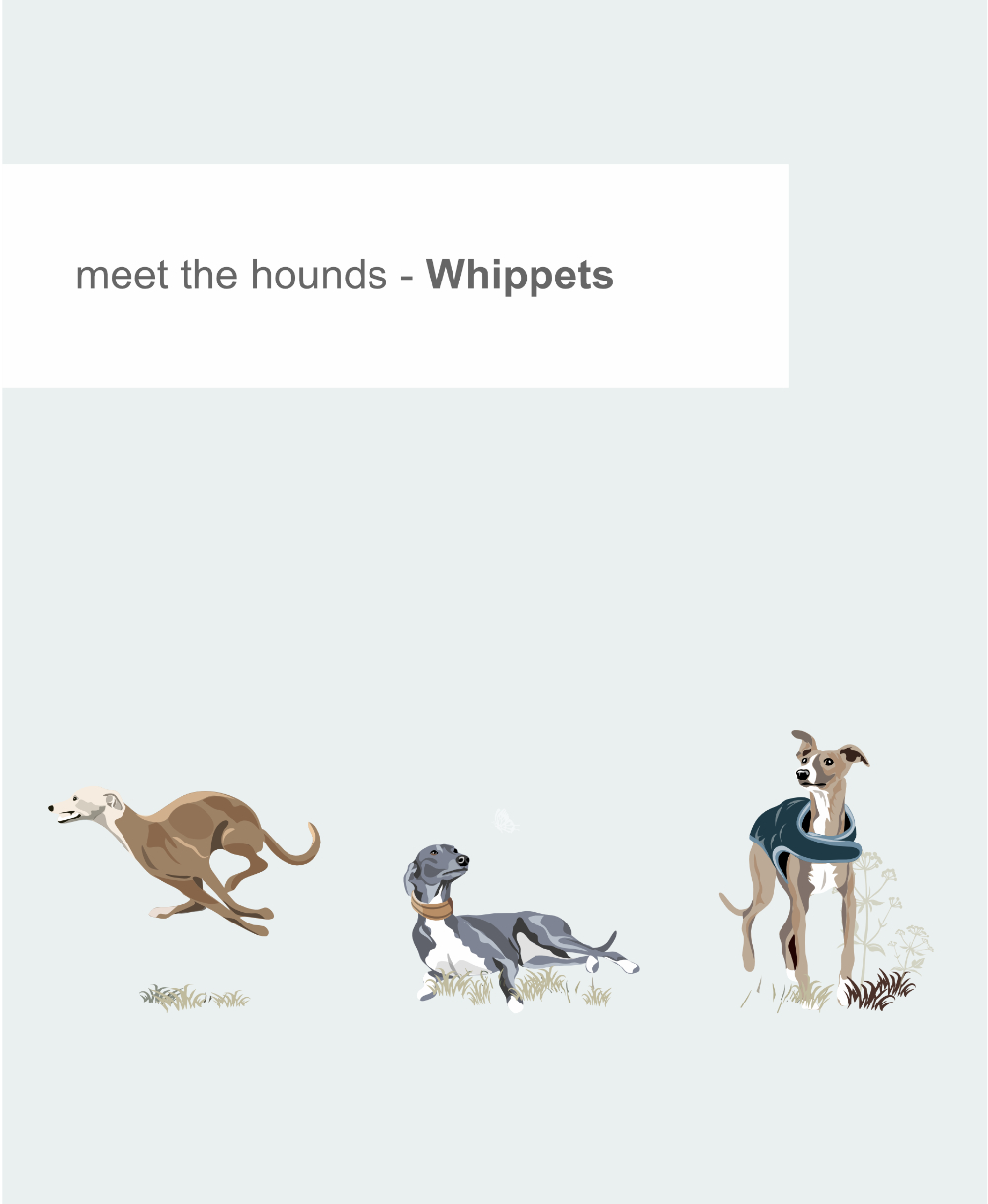 Just Sighthounds - Image 8