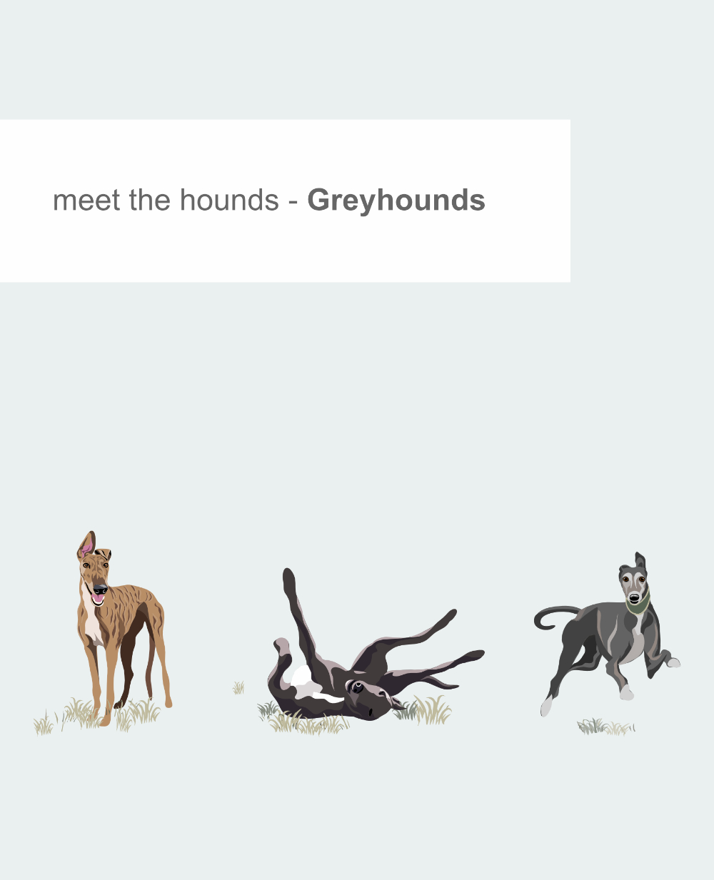 Just Sighthounds - Image 7