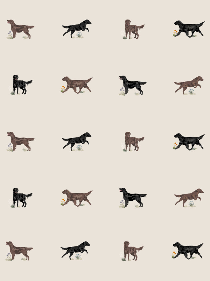 Just Flatcoats Wallpaper