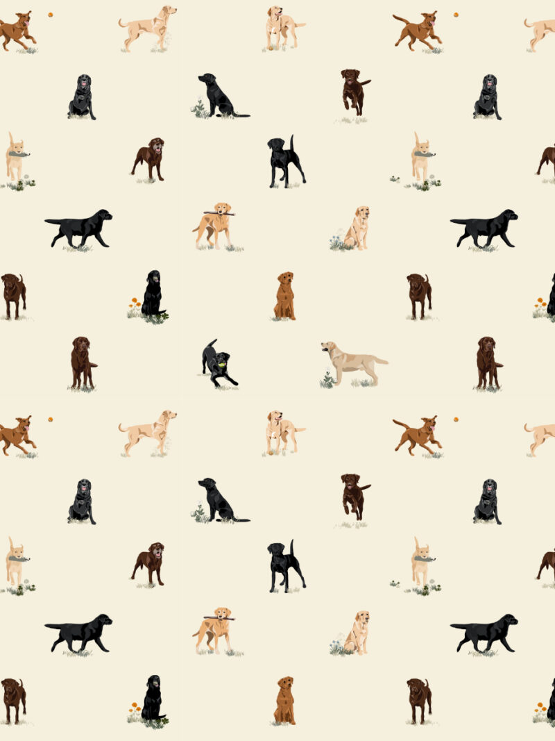 Just Labradors Wallpaper USA clients