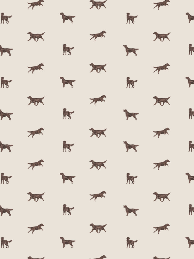 Just Liver Flatcoats Wallpaper