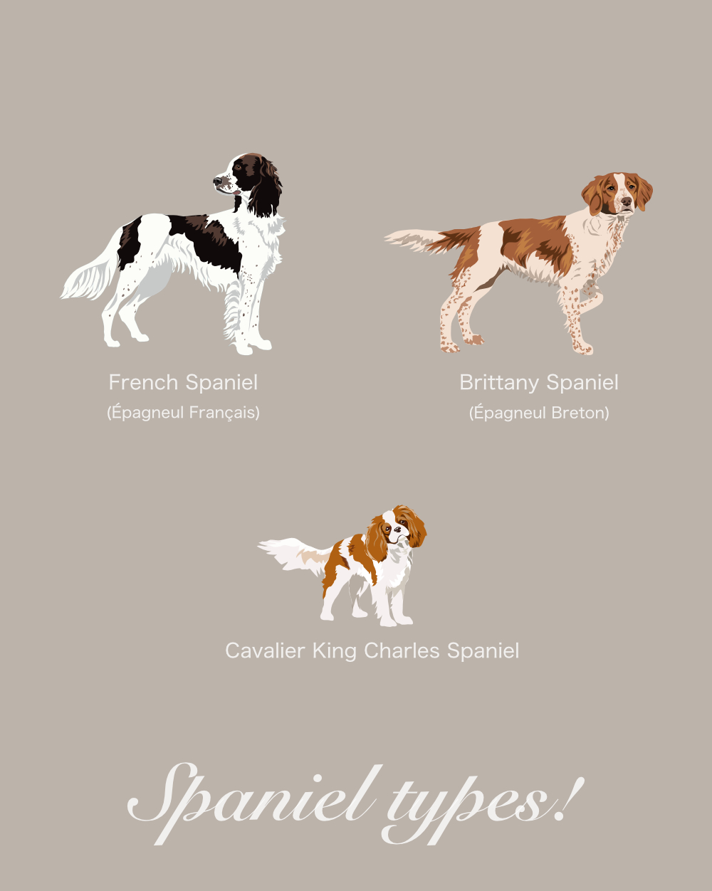 Just Spaniels Fabric - Image 7