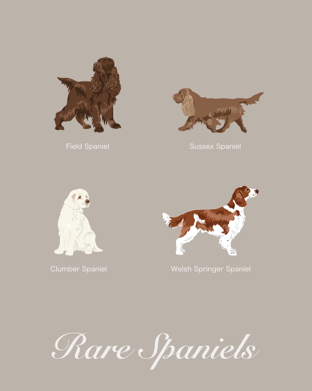 Just Spaniels Fabric - Image 5