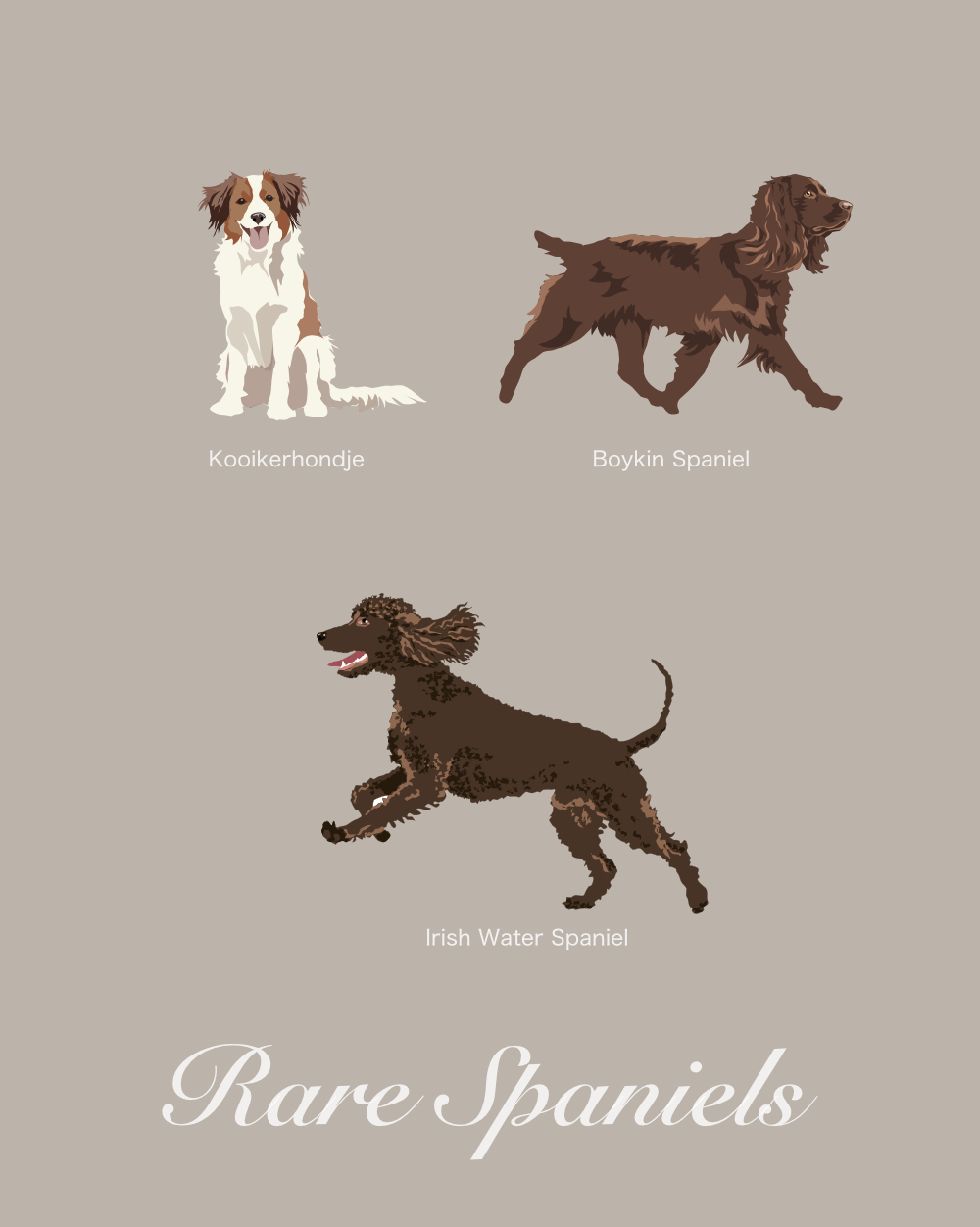 Just Spaniels Fabric - Image 6