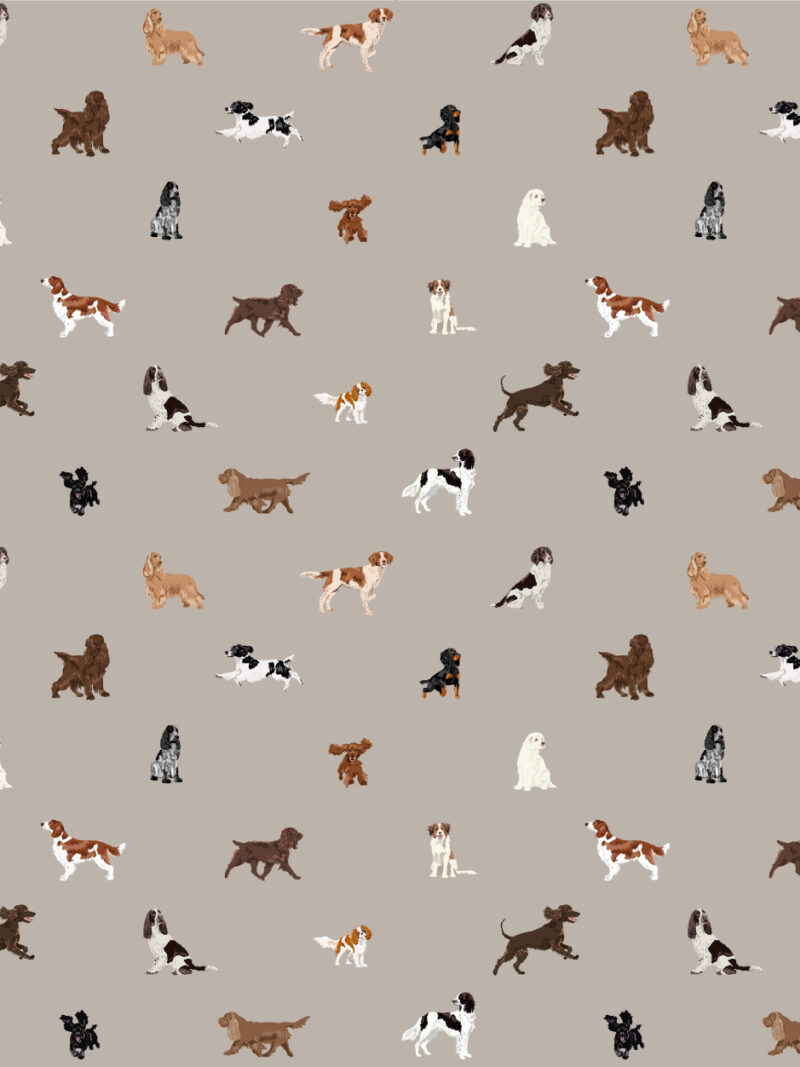 Just Spaniels Wallpaper